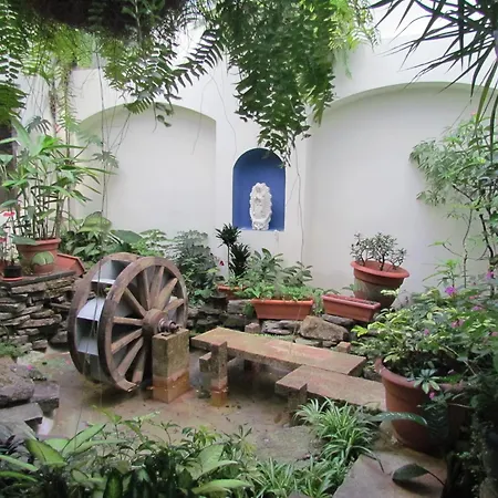 Hotel Villa Serena San Benito-3